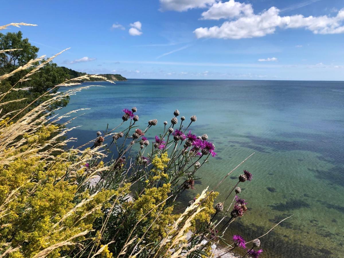 Strandapartment Kapitän Prora Binz Bagian luar foto